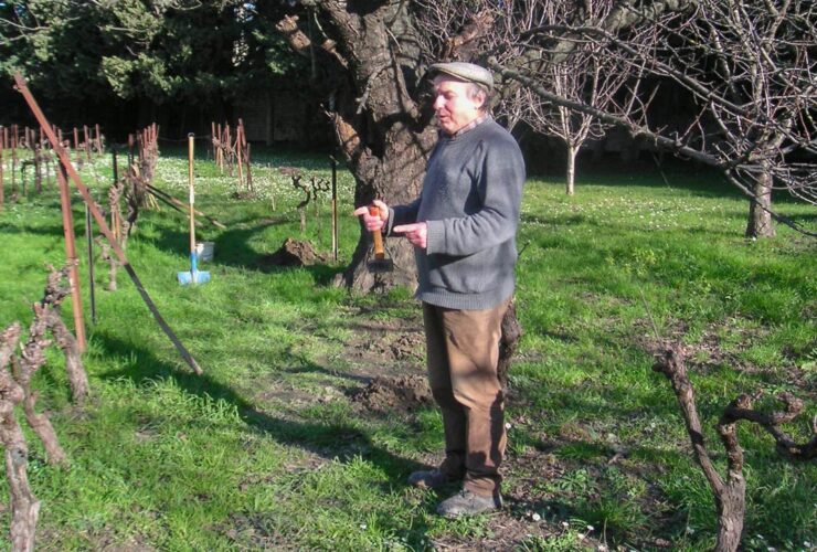 Coup de jeune dans la vigne !