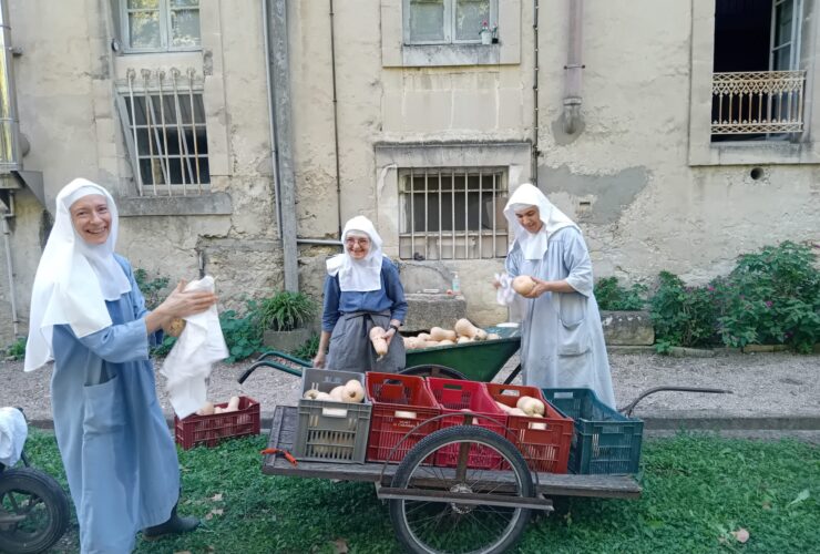 Promenade automnale