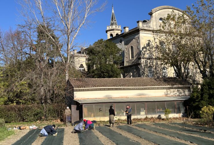 Notre projet jardin