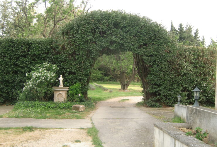 Le jardin de Versailles !